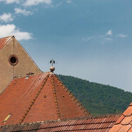 Appartamento La Grange De Madeleine Eguisheim Esterno foto