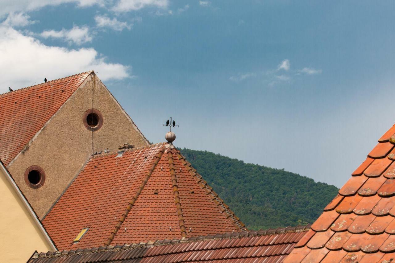 Appartamento La Grange De Madeleine Eguisheim Esterno foto
